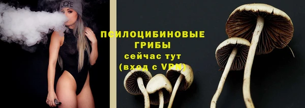 героин Грязовец