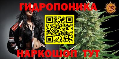 альфа пвп Гусев