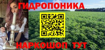 альфа пвп Гусев