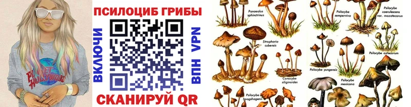Галлюциногенные грибы MAGIC MUSHROOMS Кыштым