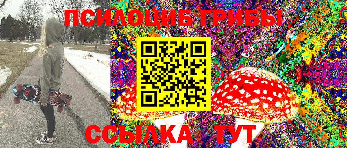 Галлюциногенные грибы GOLDEN TEACHER  Псилоцибиновые грибы Psilocybe  Кыштым  купить наркоту  Вход с VPN 