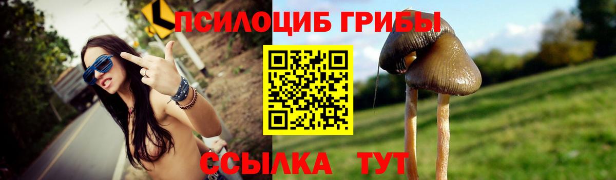 Псилоцибиновые грибы GOLDEN TEACHER Кыштым